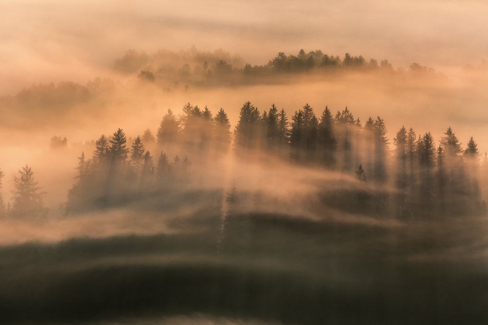 bonnieandclyde - The Poetry of Light .... . Zdjęcie 323838