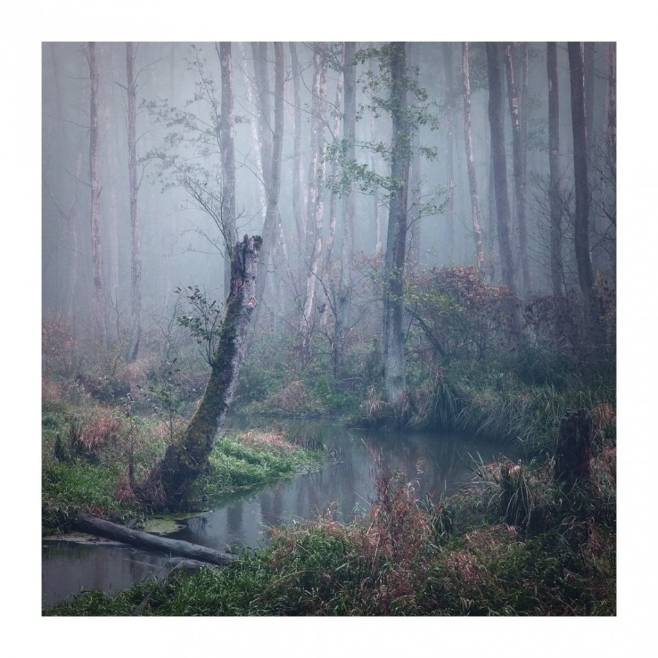 keytoo_ - . . Zdjęcie 327859