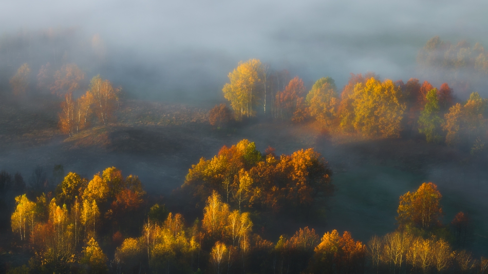bonnieandclyde - Song for Autumn. . Zdjęcie 286994