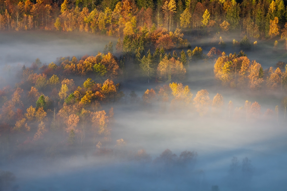 bonnieandclyde - Autumn Deluxe.... . Zdjęcie 328018