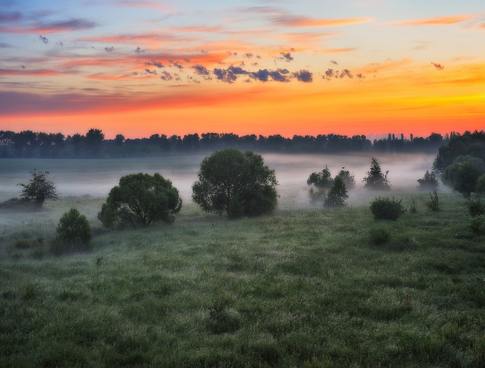 sergnester - Spring morning. Beautiful spring sunrise over river banks. the suns rays break through the mist. Morning fog. Zdjęcie 330182