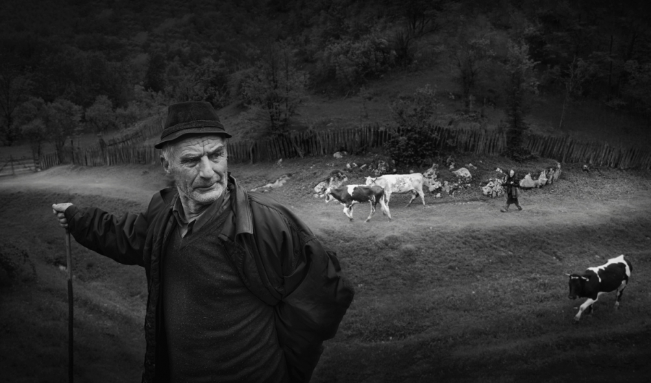 todortanev - . . Zdjęcie 245759
