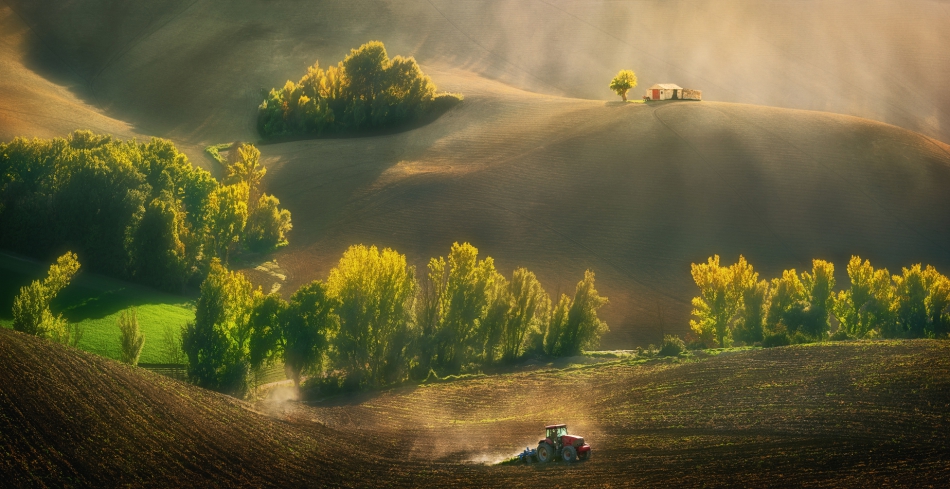 hix - Autumn fields.... zapraszam na PE. Zdjęcie 312136