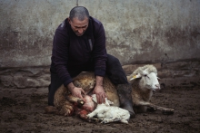 Help for the newborn