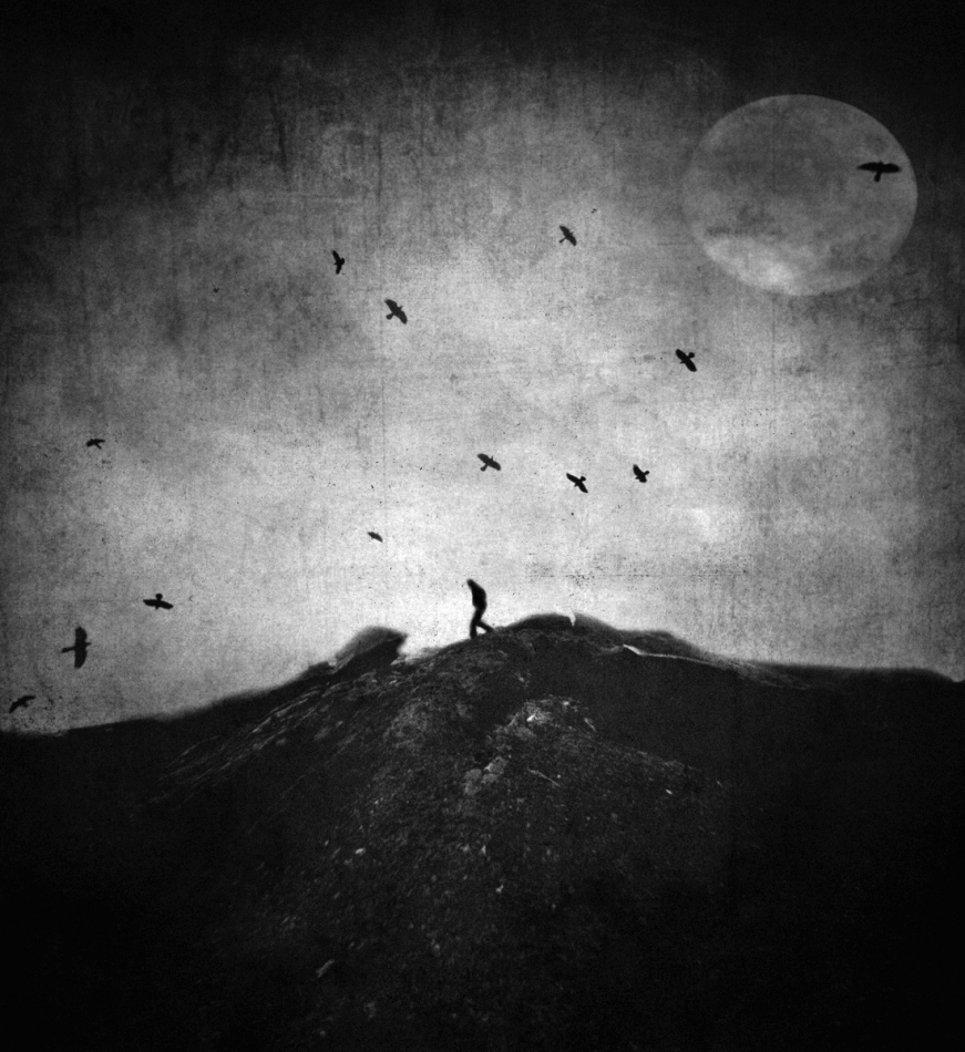 robin74r - The Final Frontier.... . Zdjęcie 259987