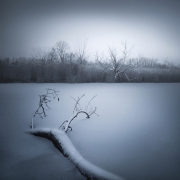 Winter Still Life