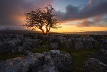 Sunrise over grykes