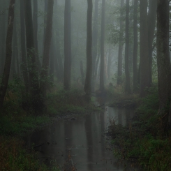Rzeka Gać. Spalski Park...