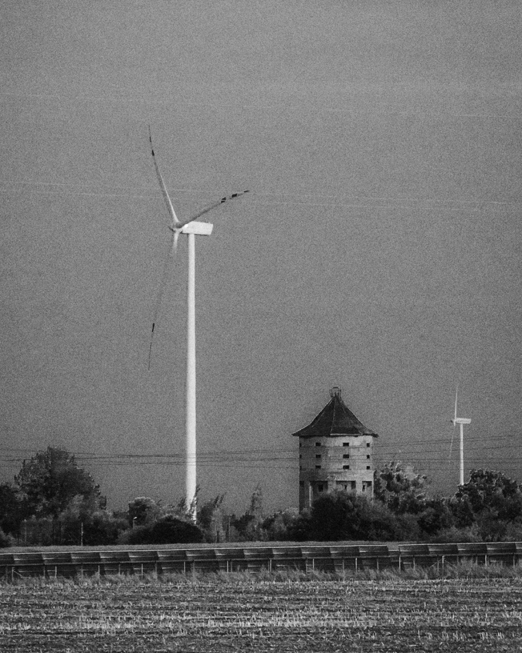 kang - . . Zdjęcie 305261