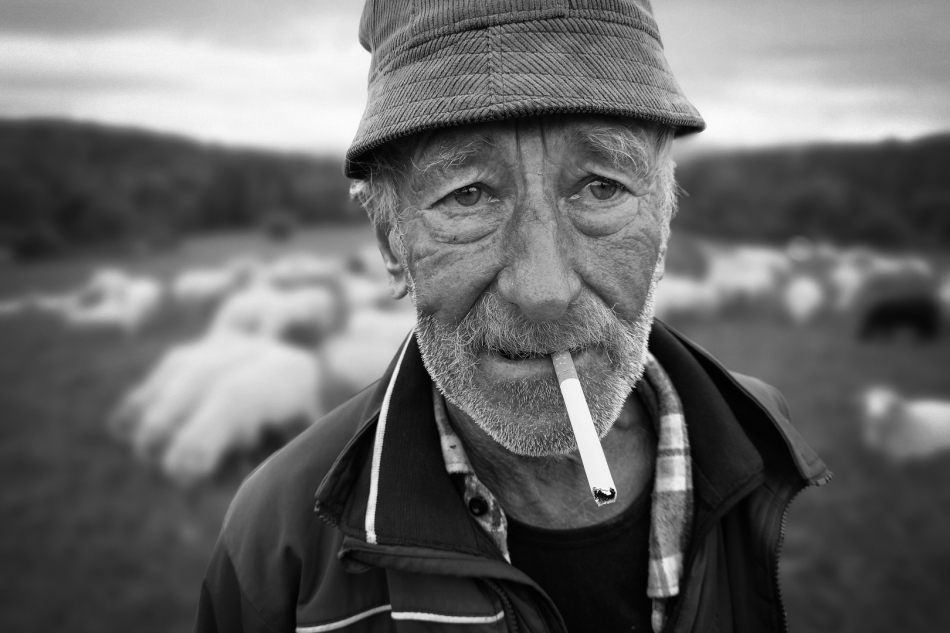 scots - Janek. Beskid Niski, fotografia mobilna. Zdjęcie 326563