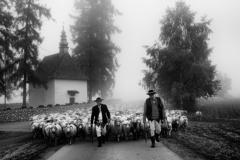 marcinkesek1987 - Redyk . Kaplica św. Marii Magdaleny w Nowej Białej i przypadkiem napotkany w tym miejscu Redyk. . Zdjęcie 325718
