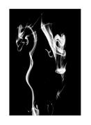 Smok i Elf