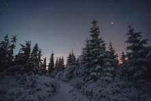 Along Thine Winter's Path
