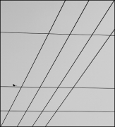 Ptasi minimal