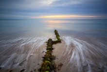 into the sea