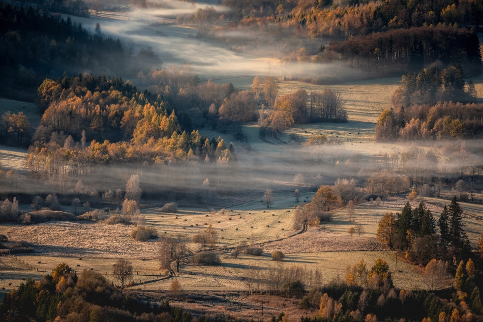 bonnieandclyde - A Very Silent Morning.... . Zdjęcie 322414