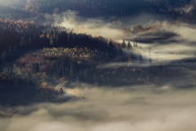 Autumn Deluxe...