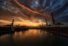 Port Gdynia