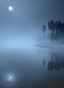 Zasiadka