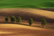 Morawskie klimaty