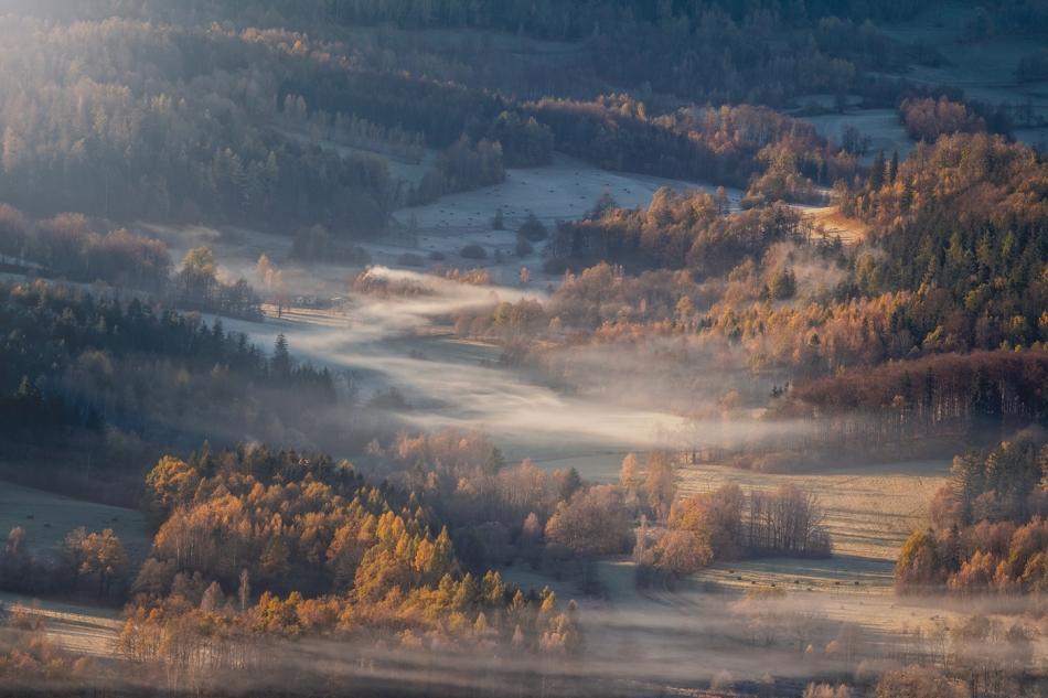 bonnieandclyde - Cold Misty Morning.... . Zdjęcie 327214
