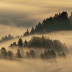 Pieniny