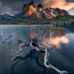Poranek w Torres del Paine