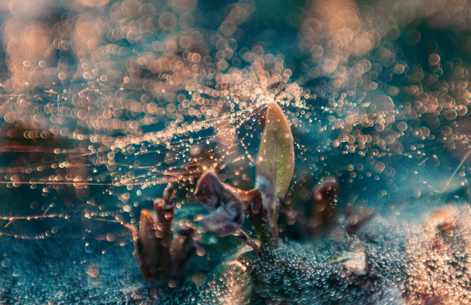 artur.michelis - Water World. . Zdjęcie 276107
