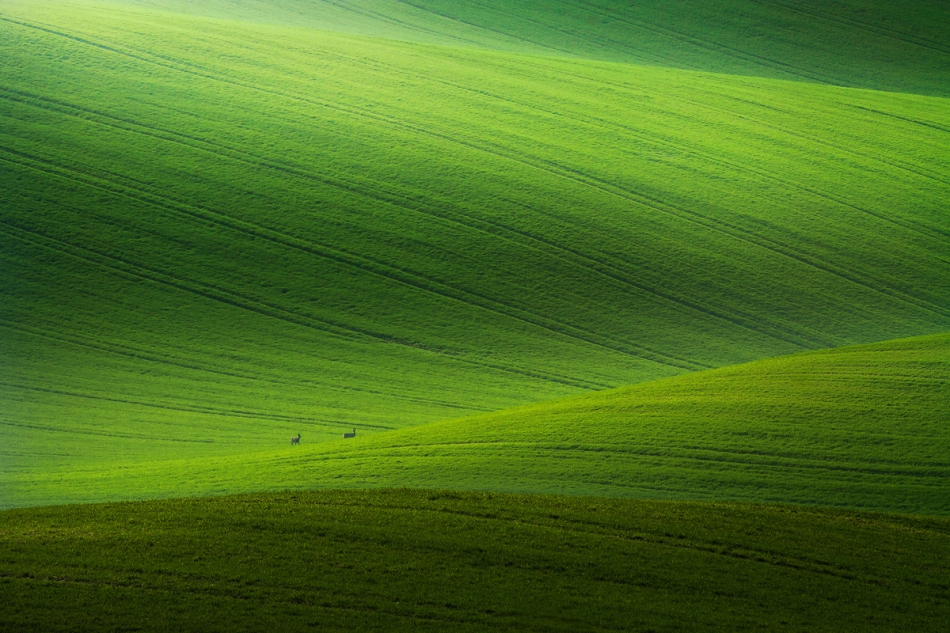 .... . Zdjęcie 122011