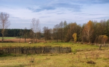 Pejzaż jesienny