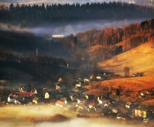 Gąsienica
