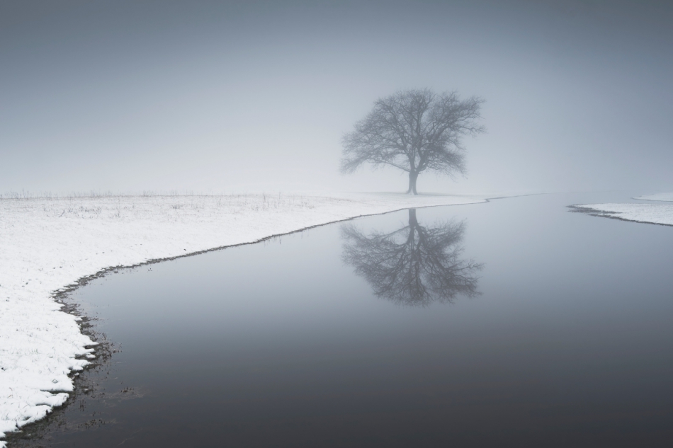 exo_82 - . . Zdjęcie 311254