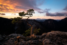 aa