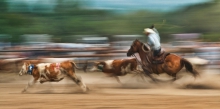 Rodeo