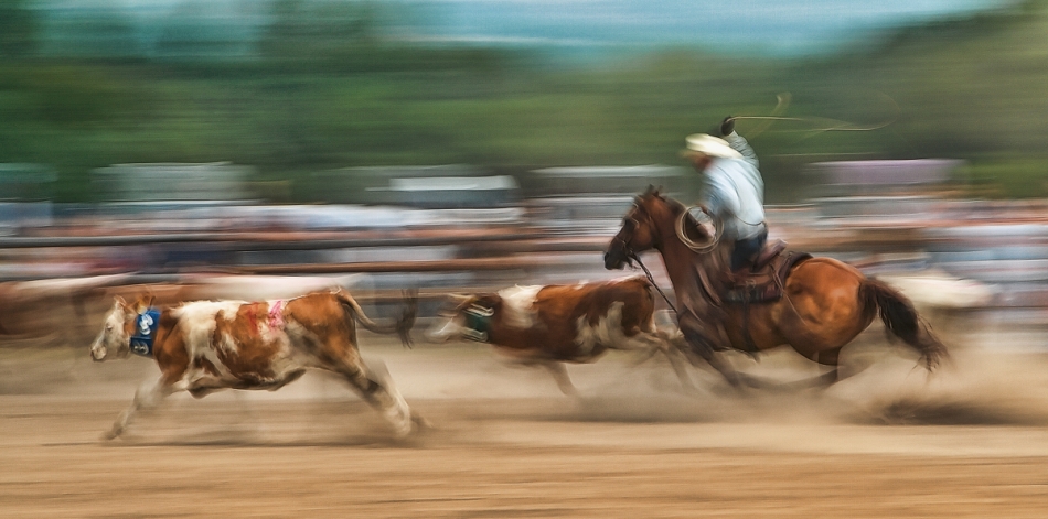 dusanignac - Rodeo. . Zdjęcie 148695