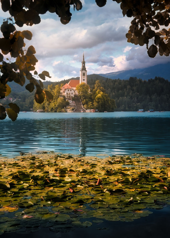 shooter76 - Bled. . Zdjęcie 337005