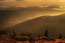 Złote Karkonosze 