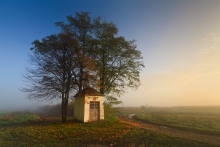 W jesiennej glorii
