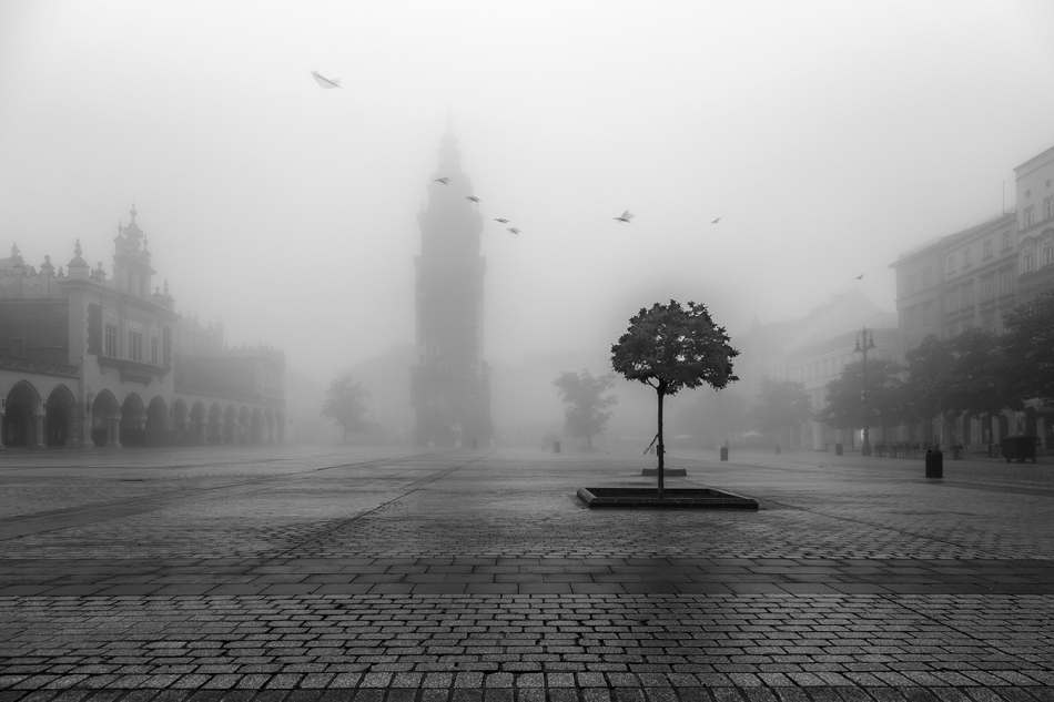 akrims - . . Zdjęcie 278368