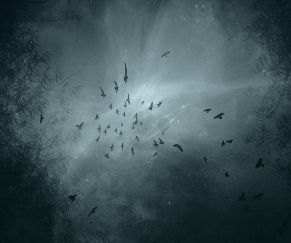 robin74r - My Dark Galaxy. . Zdjęcie 175850