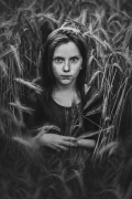 The Lovely Bones