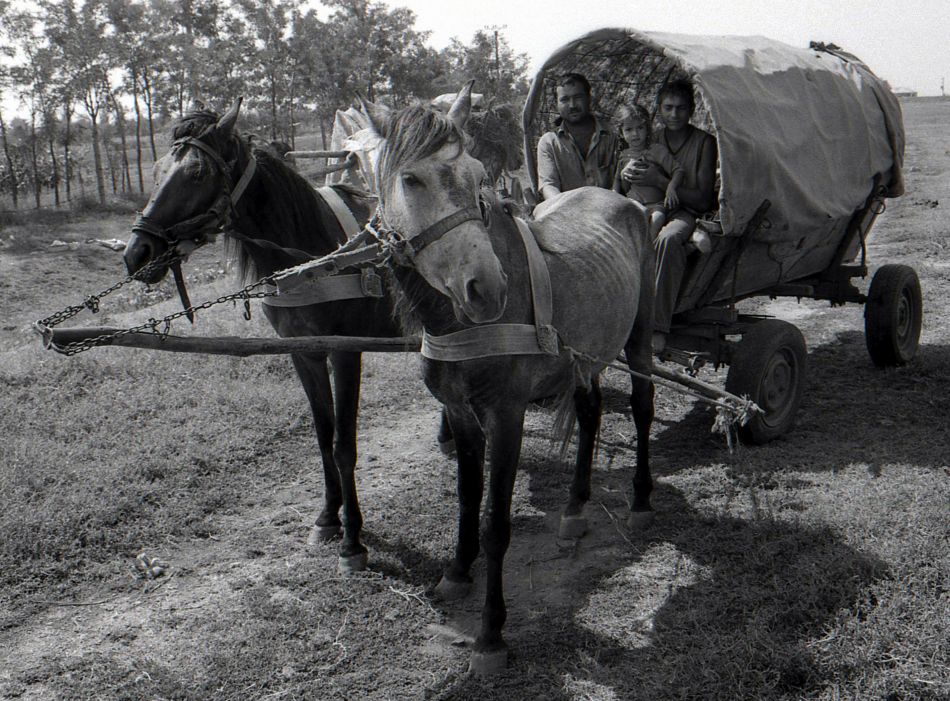 jakabtibor - In the wagon. Gypsies in their wagon.. Zdjęcie 54772