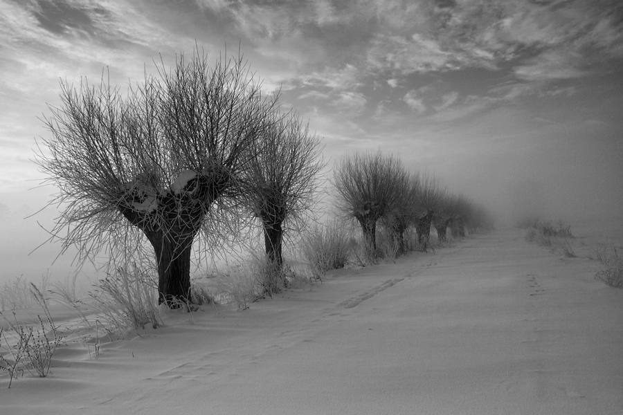 camelot - ***. . Zdjęcie 85256