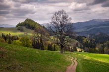 Pieniny