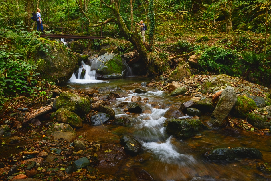 Kadropsuje. . Zdjęcie 336613