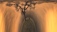 under the magic tree