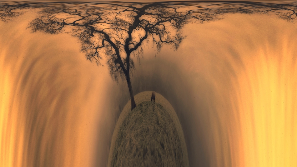 stefan - under the magic tree. . Zdjęcie 90428