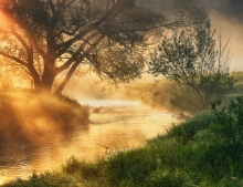 Golden morning