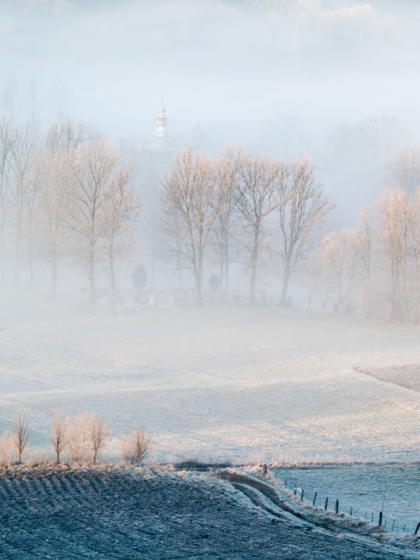 szymon_59 - Poranek . . Zdjęcie 115505