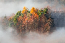 For the Love of Autumn...